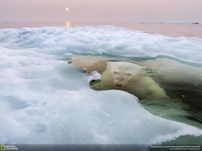 Illustration for article titled These are National Geographic's favorite images of the year